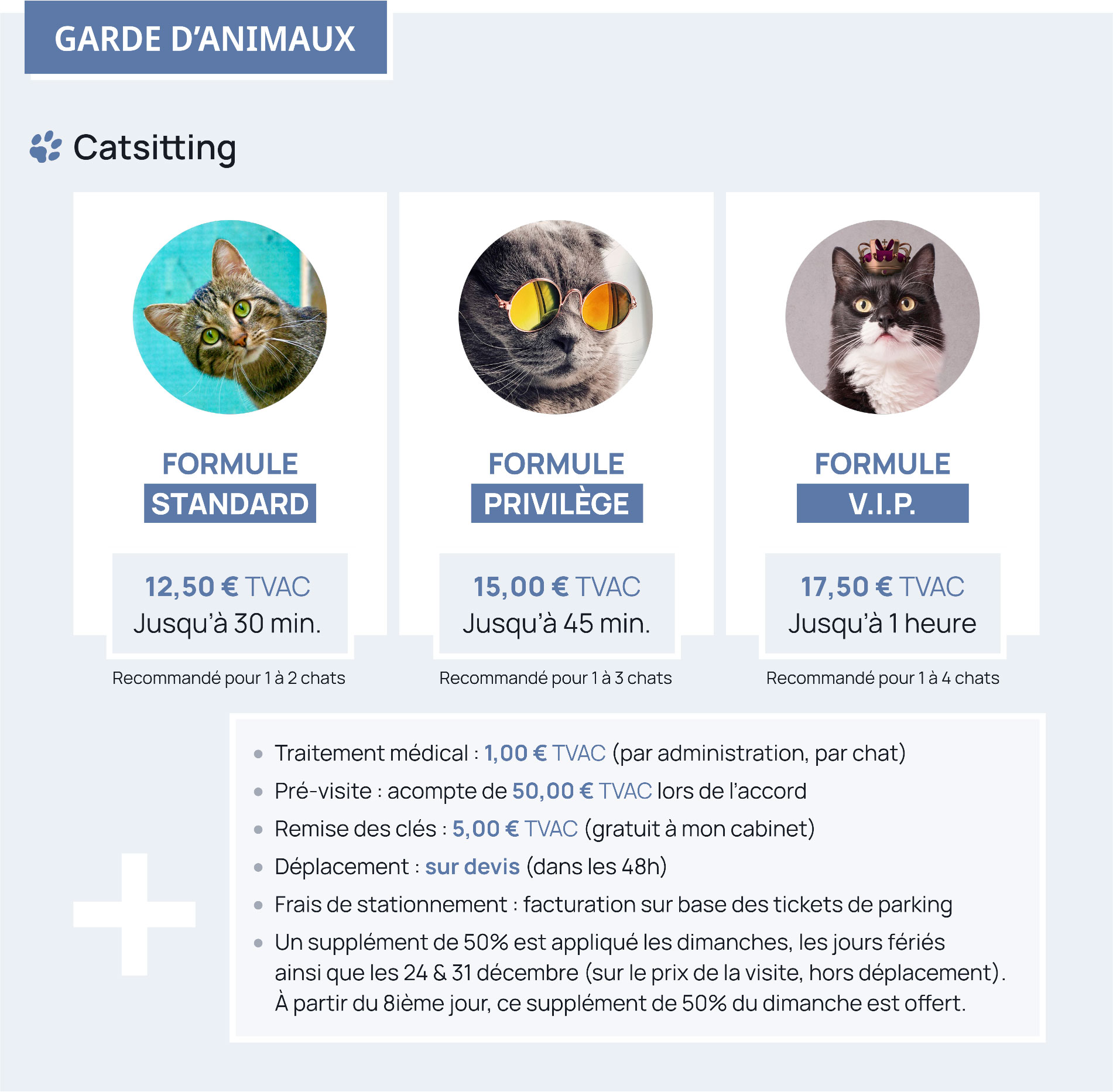 Tarif garde d'animaux : tous les détails pour le Catsitting Stephandco