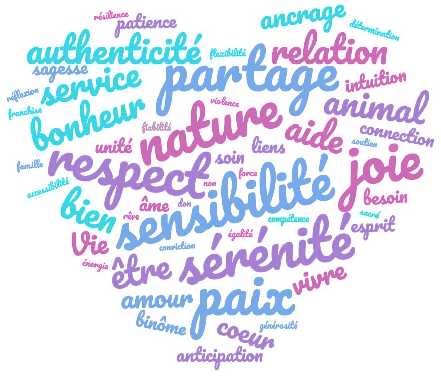 Coeur nuage de mots pour la partie Ma philosophie Stephandco