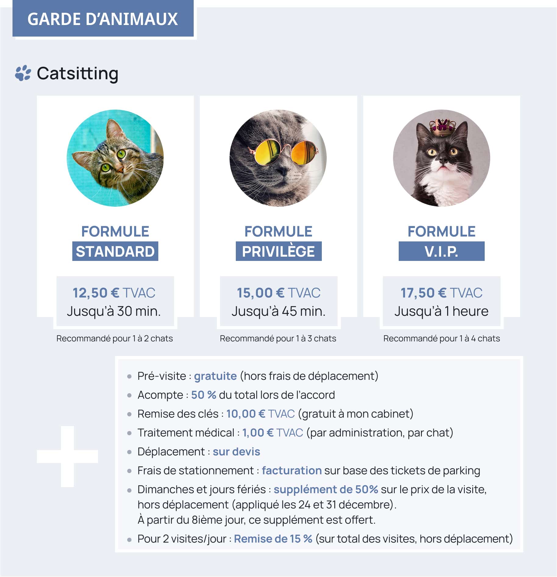 Tarif garde d'animaux : tous les détails pour le Catsitting Stephandco